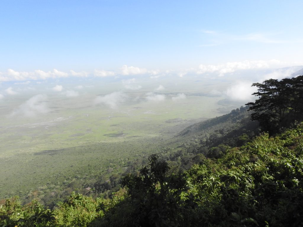 Présentation Safari Manyara Ngorongoro Tarangire